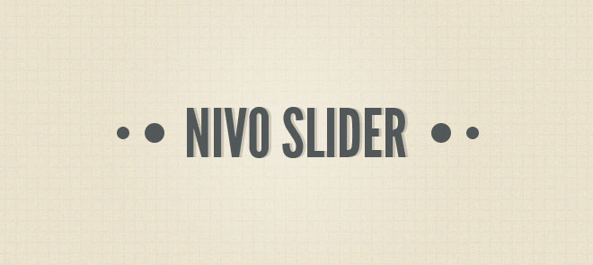 Nivo Slider is Awesome.
